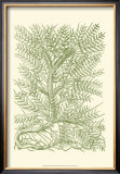 Mossy Branches III Prints by Henri Du Monceau
