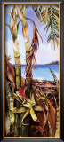 Palms and Bromeliads Prints by Deborah Thompson