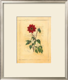 Counterpointe II Prints by Michael King