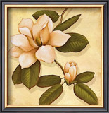 Gold Magnolia II Prints by Daphne 