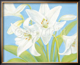 White Lily Prints by Susanne Bach