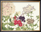 Japanese Flower Garden II Posters by Konan Tanigami