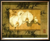 Bamboo & Orchids II Limited Edition Framed Print by Ives Mccoll