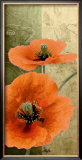 Orange Poppies I Art by Patty Q.