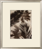 Palms II Prints by J.b. Hall