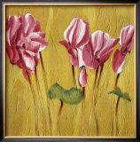 Pink Cyclamens Print by Teo Malinverni