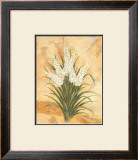 White Surprise Prints by Amelie Parker