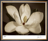 Source I Limited Edition Framed Print by Ives Mccoll