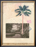 San Saba Print by April S. White