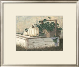 White Pumpkins Prints by Michael Humphries