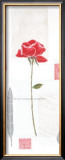 Cotton Camellia Prints by Catherine Denolly