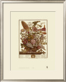 Twelve Months of Flowers, 1730, August Poster by Robert Furber