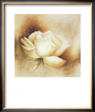 White Rose I Posters by Betty Jansma
