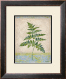 Gossamer IV Print by Amelia Worrall