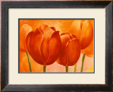 Peach Tulips Posters by Susanne Bach