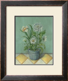 Potted Floral II Prints by Bell 