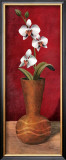 White Flower II Prints by Tom Ward