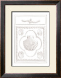 Shell Panel Prints by Dot Bunn