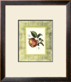 Petite Fruit I Art