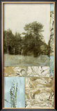 Whispering Woods III Prints by Mary Lamb