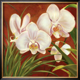 Red Orchid Print by Laurie Snow Hein