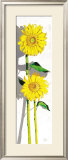 Girasoles I Prints by Juan Jose Molina