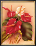 Red and White Anthuriums Framed Giclee Print by Frank Oda