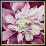 Pink Dahlia Prints by Beth Winslow