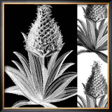 Pop Pineapple I Prints