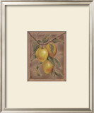 Citron Fructus Posters por Constance Lael Citron Fructus Posters por Constance Lael