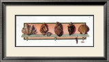 Collection of Shells II Prints by Peggy Jo Ackley