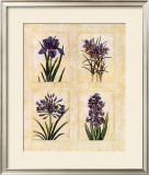 Antique Lavender I Art by Richard Henson