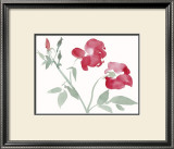 Roses Prints by Aurore De La Morinerie