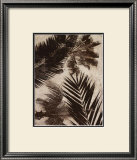 Palms II Art by J.b. Hall