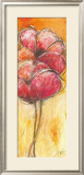 Corn Poppy III Prints by Dagmar Zupan