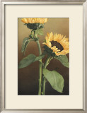 Isabell's Garden II Poster by Kory Fluckiger