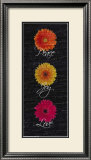 Gerbers on Black: Peace, Love, Joy Posters by Jessica Vonammon