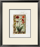Botanics of 17th Century II Prints by Flori Florilegium