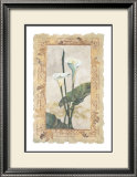 Calla Lily Poster by George Caso