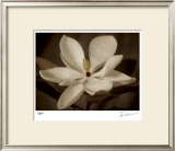 Source II Limited Edition Framed Print by Ives Mccoll