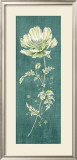 Teal Poppy Prints by Clare Lake