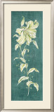 Teal Lily Prints by Clare Lake