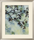 Evening Shadows I Prints by Irene Paschal