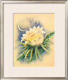 Night Blooming Cereus Framed Giclee Print by Ted Mundorff