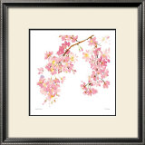 Pink Blossom Prints by Summer Thornton