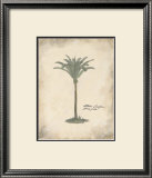 Fibres Palm Print by Hewitt 