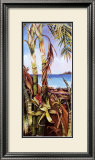 Palms and Bromeliads Poster by Deborah Thompson