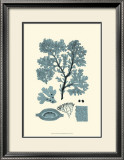 Azure Seaweed I Print by Harvey 