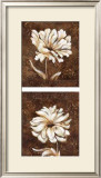 Brocade Prints by Michael King