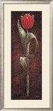 Mystic Tulip Red Posters by Karsten Kirchner